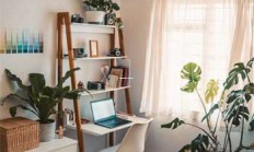 天涯社区和天涯论坛：一个网上的大家庭