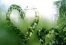 小月月的天涯社区之旅